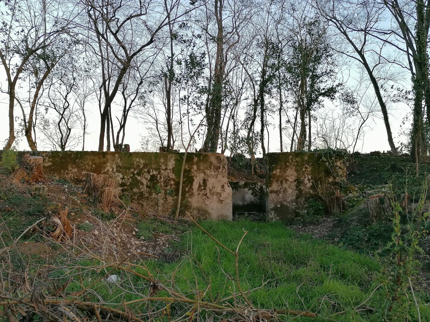 Batteria di Precenicco