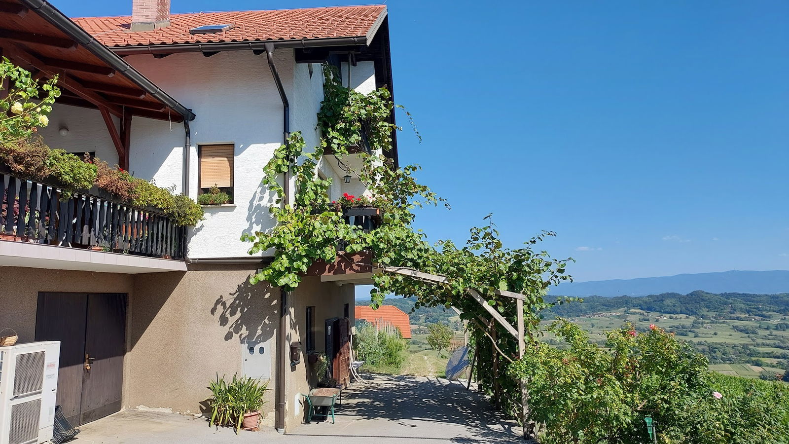 Babič Family Majolica Collection