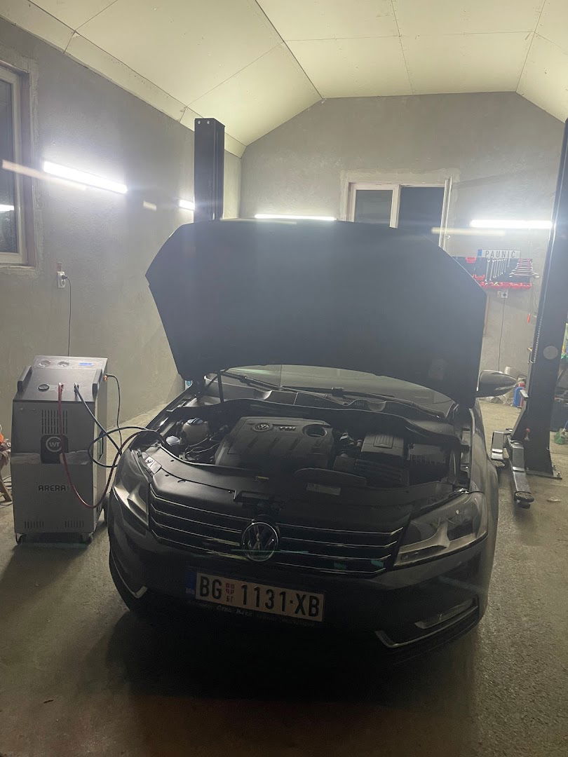 Auto Servis Paunić