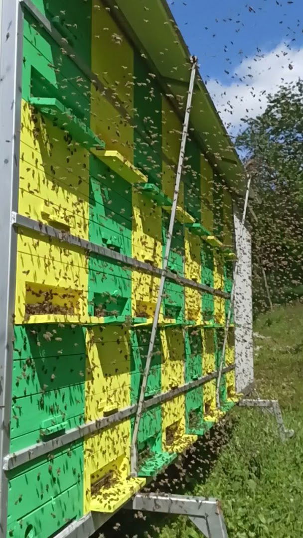 Pčelarstvo Vinceković