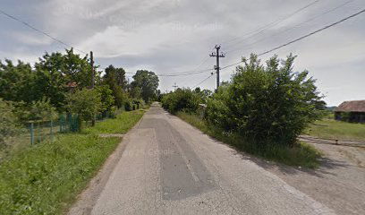 Baćevac - Ekonomija