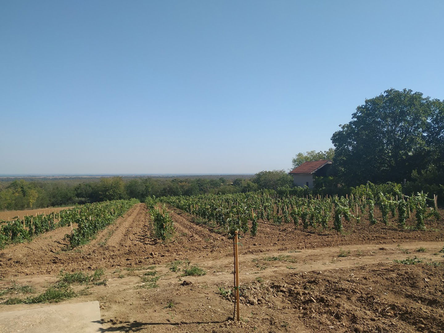 ПГ Миљковић (PG Miljkovic)