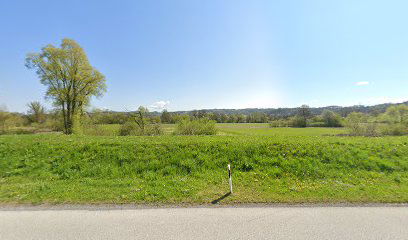 Kupalište Dvor (Butic)