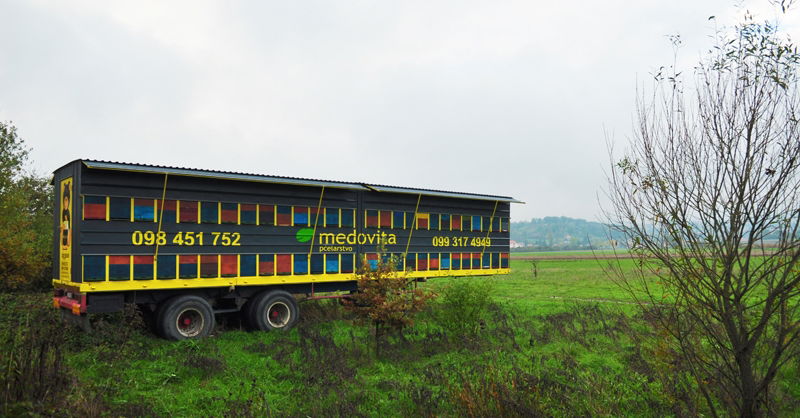 Medovita pčelarstvo