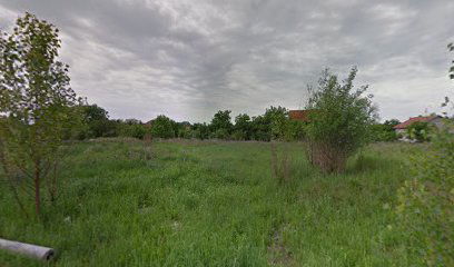 Angela Dzoz photographer