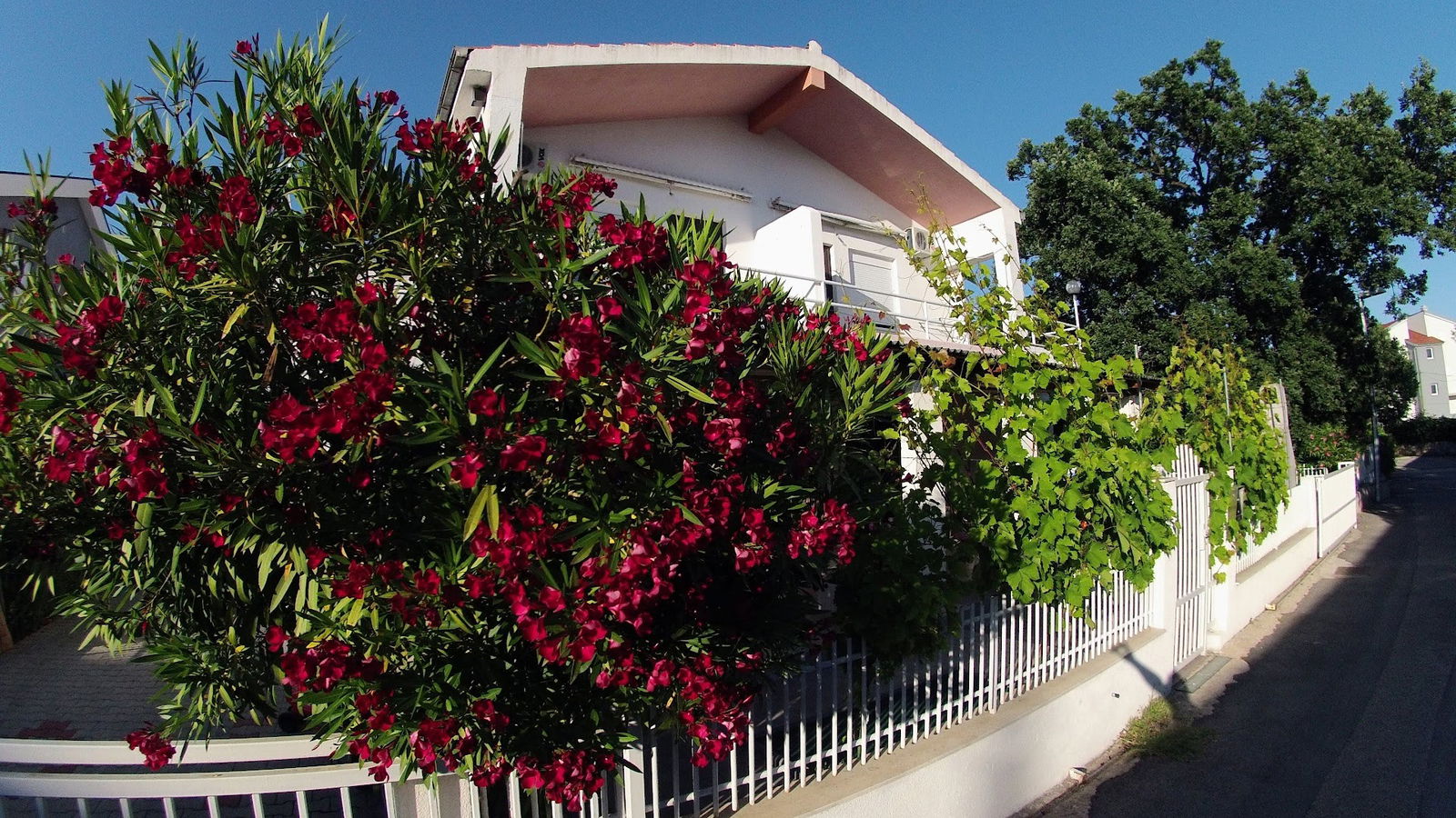 Adria & Apartmani Urukalo Vodice