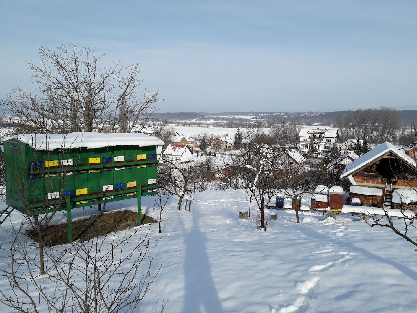 OPG Marin Zanetti Med bagrem kesten livada