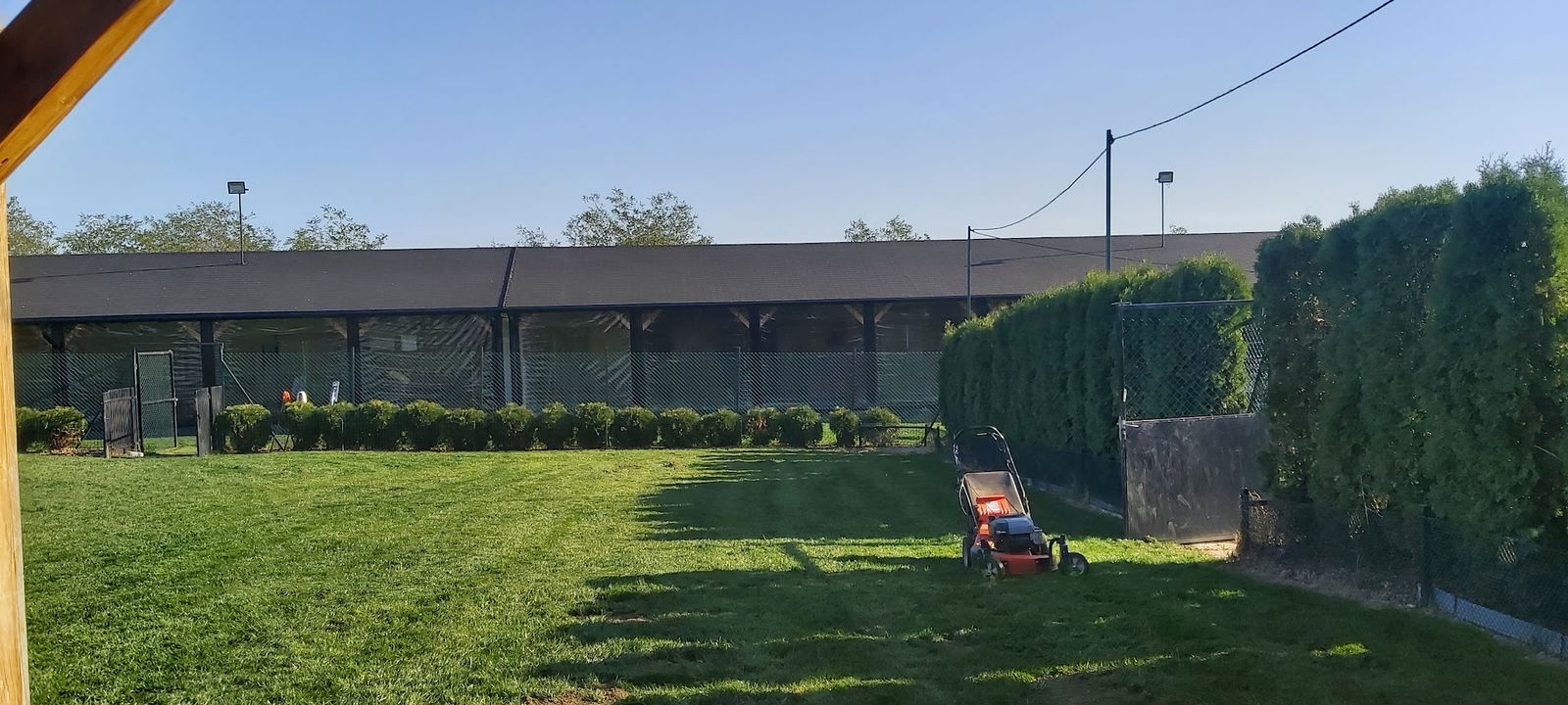 5 seasons - hotel za pse