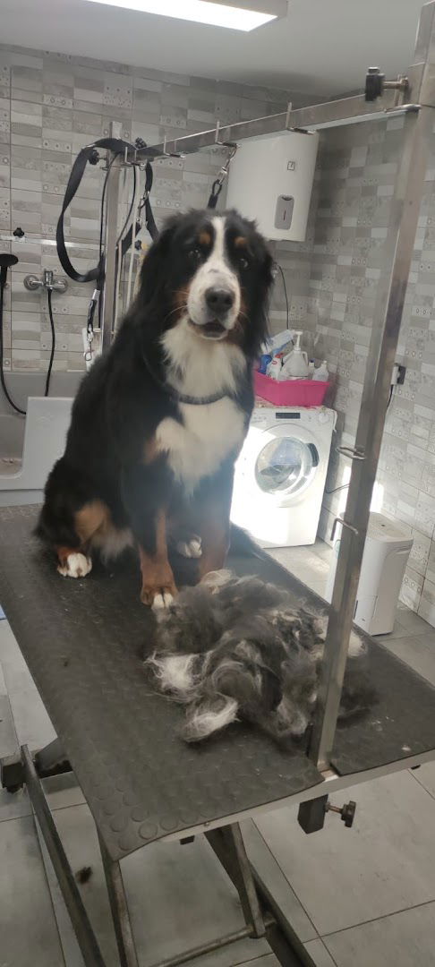 frizeraj vau-vau obrt za uredjivanje ljubimaca