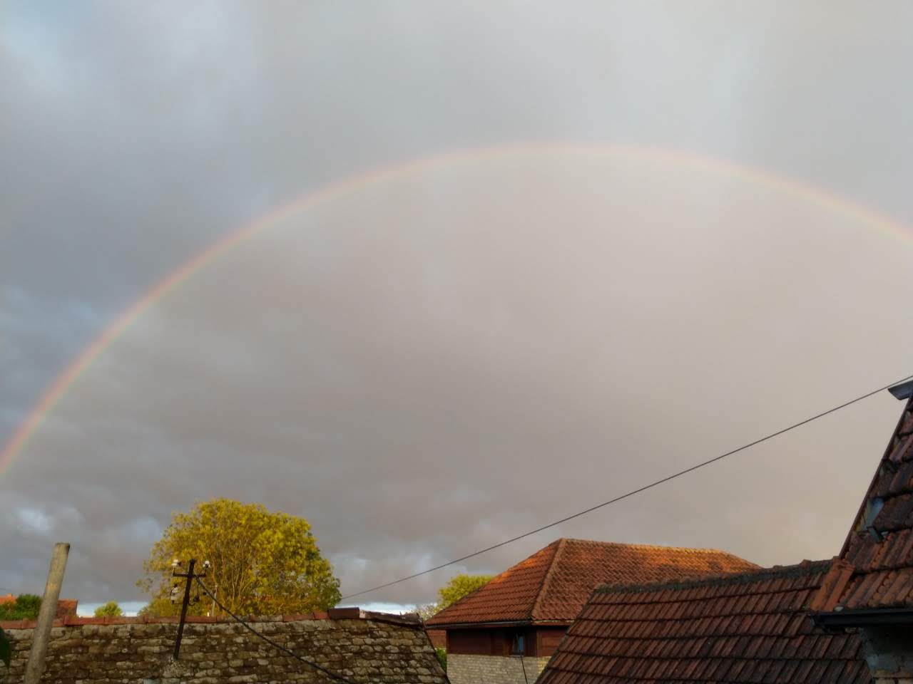 Autoprevoznik Sasa Bakic Preduzetnik Surcin