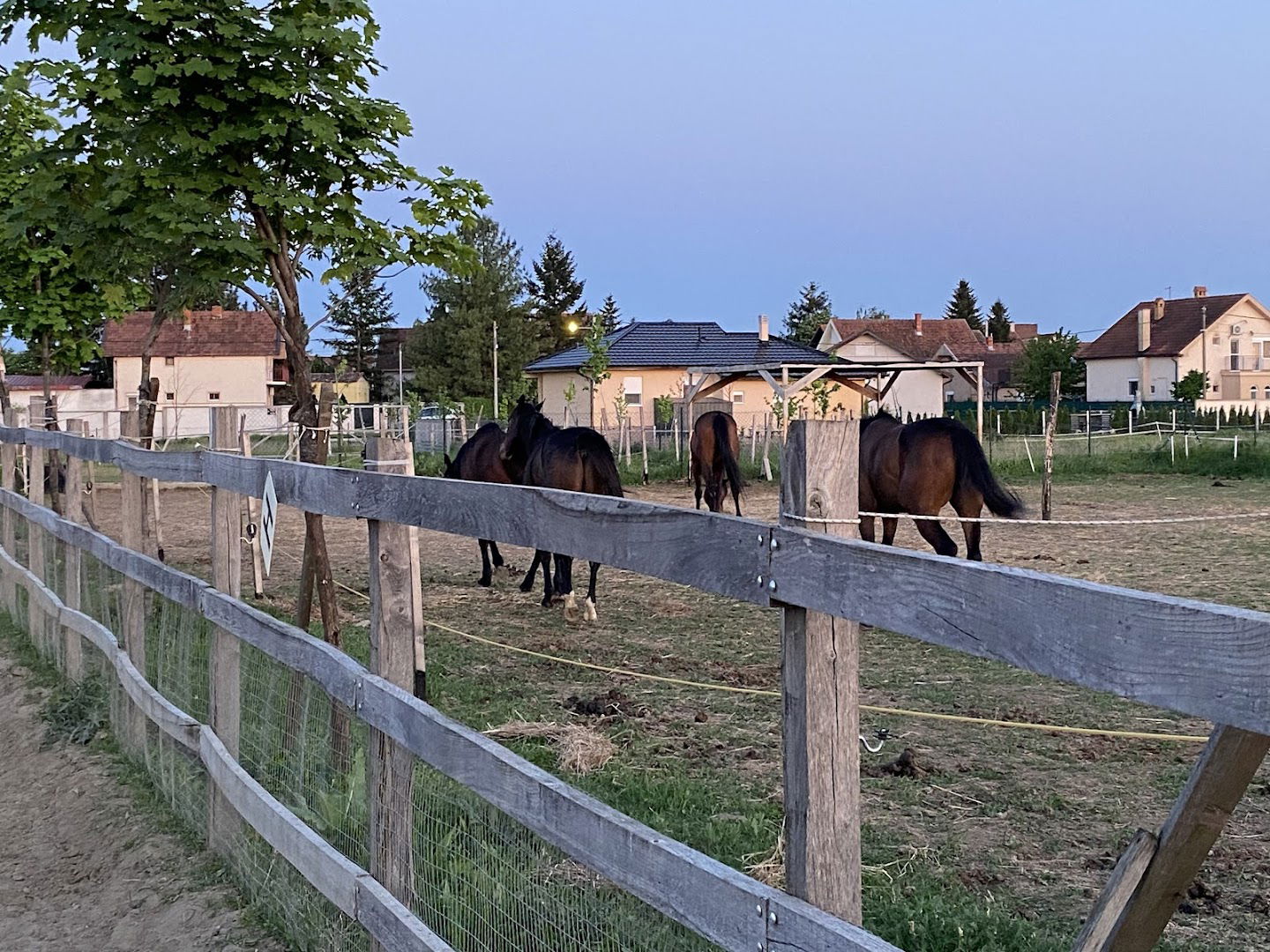 Equestrian club Invictus