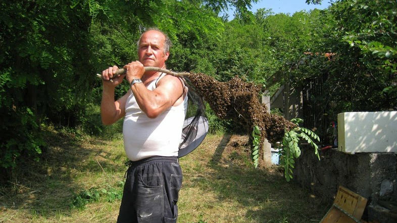 Apicoltura Abrami Carboni