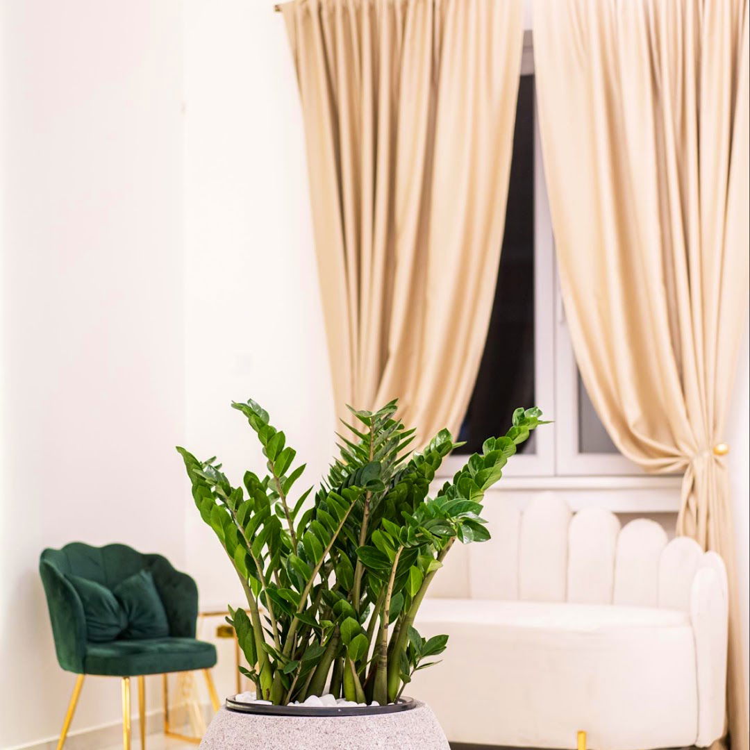 White Clinic Belgrade - specijalistička stomatološka ordinacija