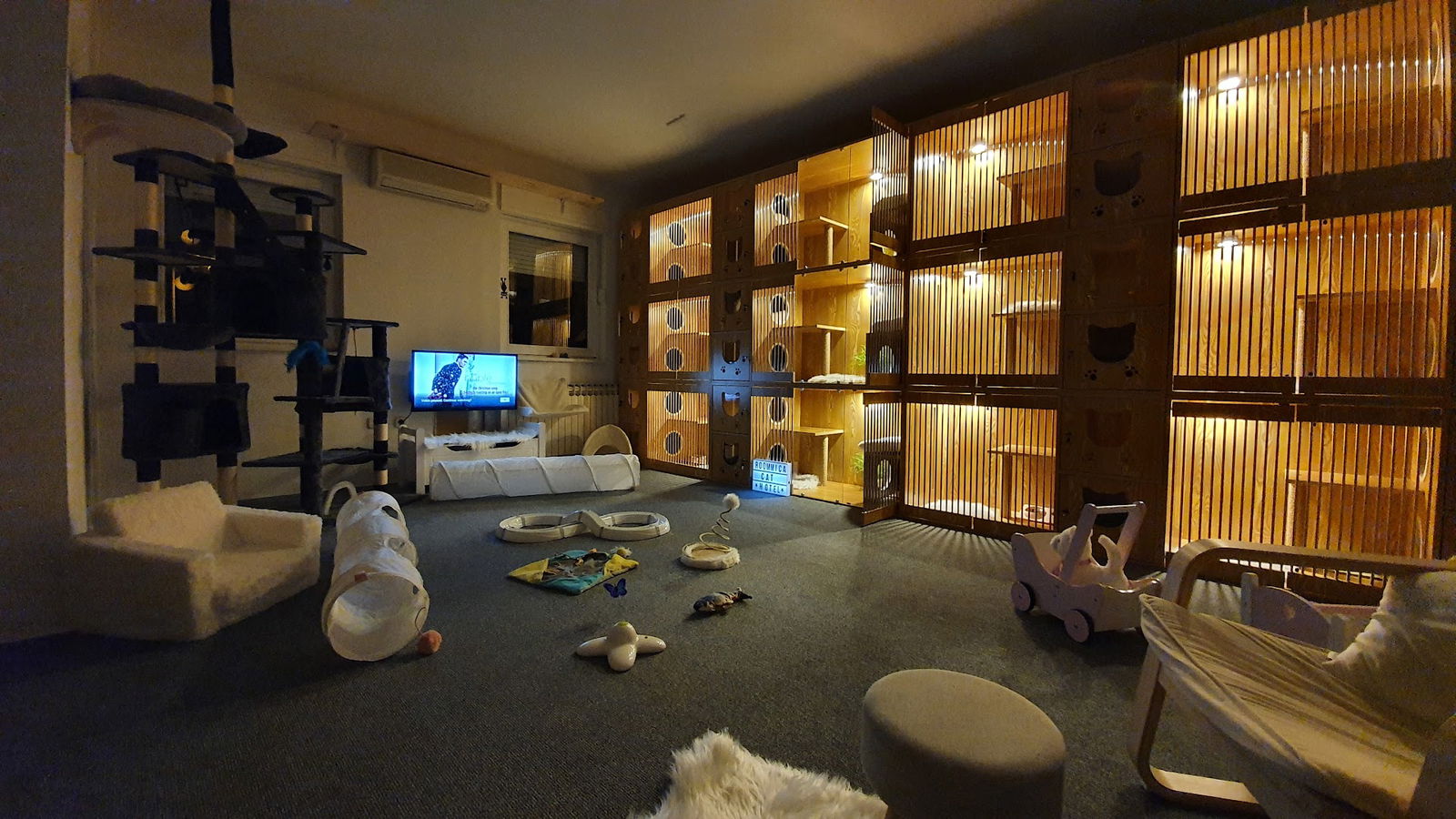 Cat hotel - RoomMica