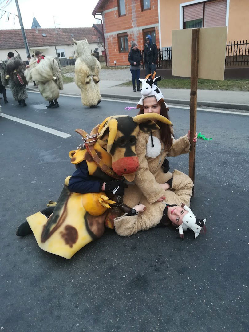 FAŠNIČKO DRUŠTVO MEĐIMURSKE KRAVE