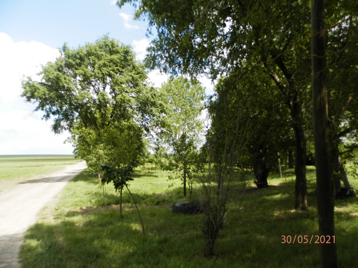 parc de covere chicka