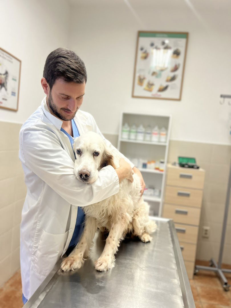 Veterinarska ambulanta - Vet for 5