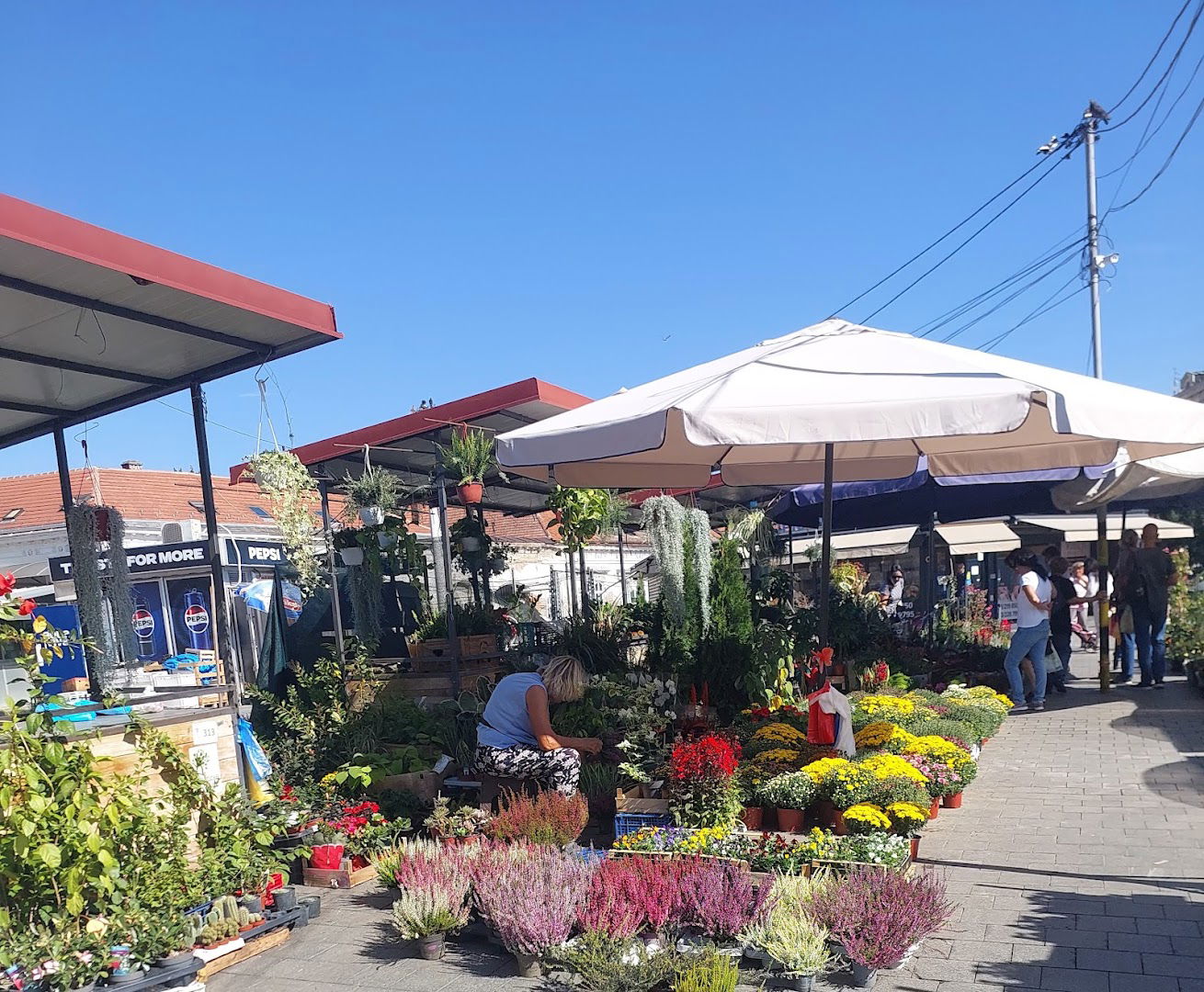 Zemun Flea Market