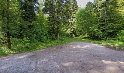 Parking rakov Škocjan