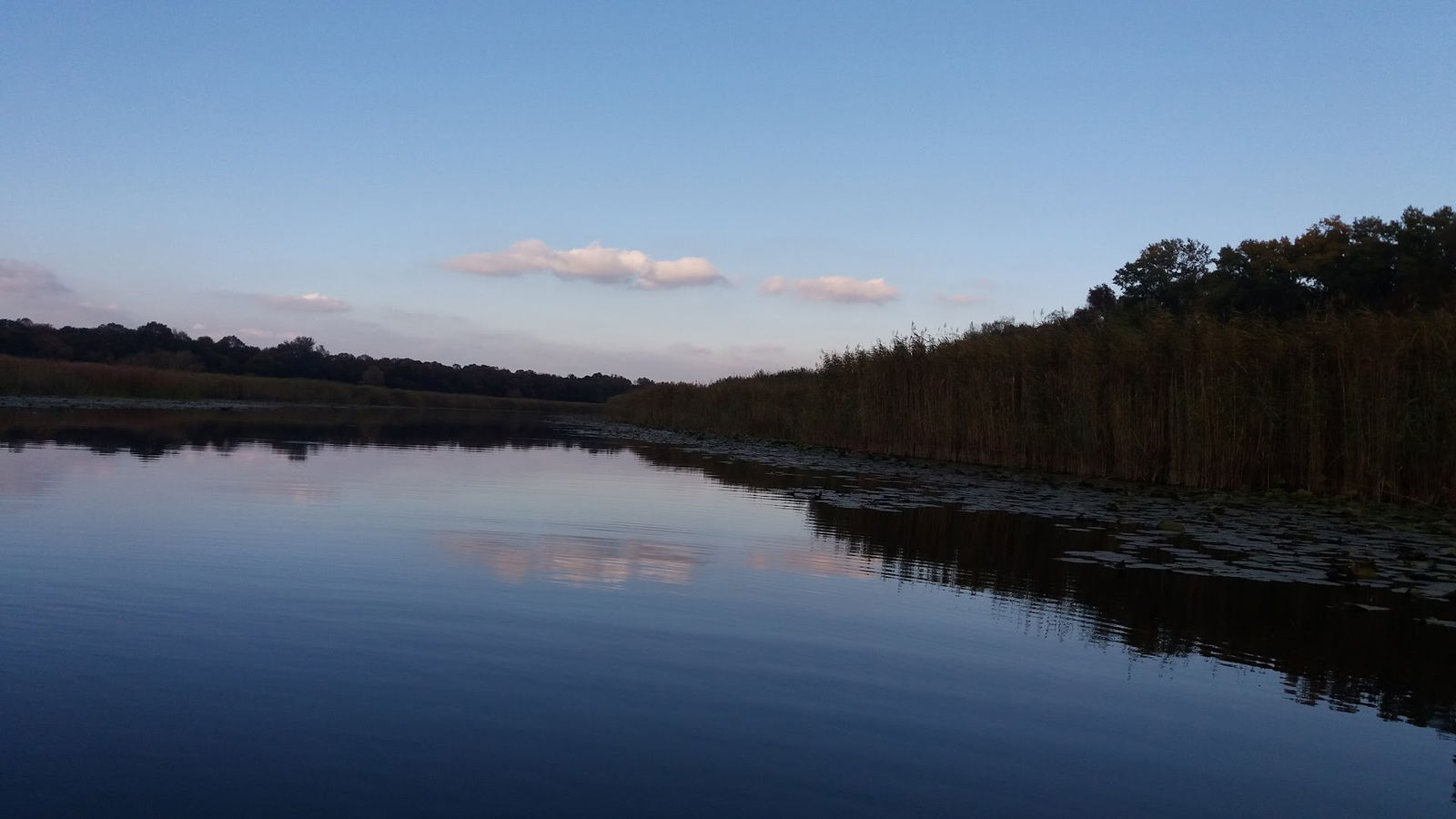 "Obedska bara" Nature Preserve