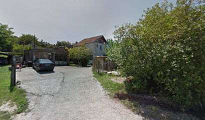 Škola gusala “Sandić”