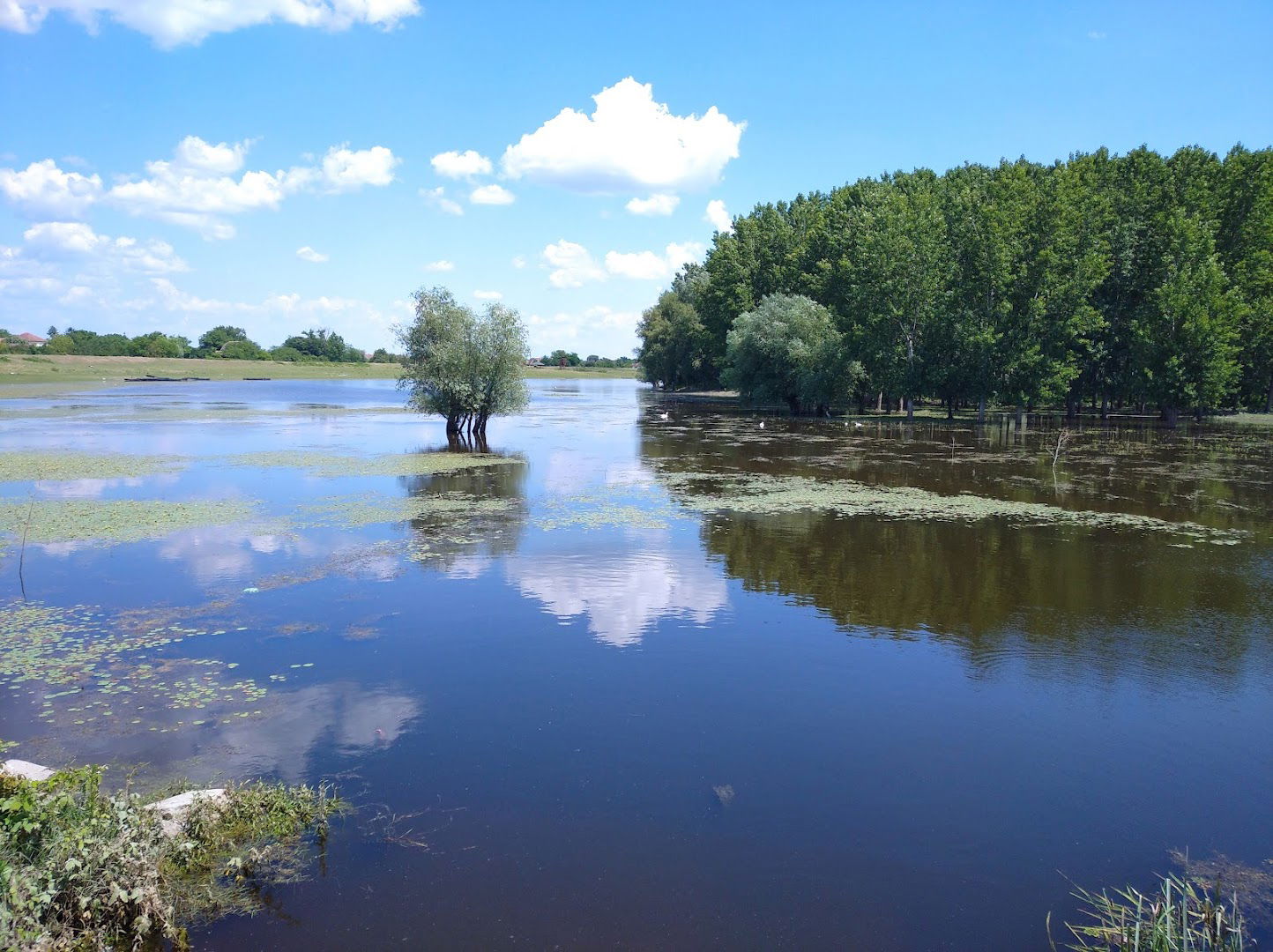 Пумпа на Шлајзу