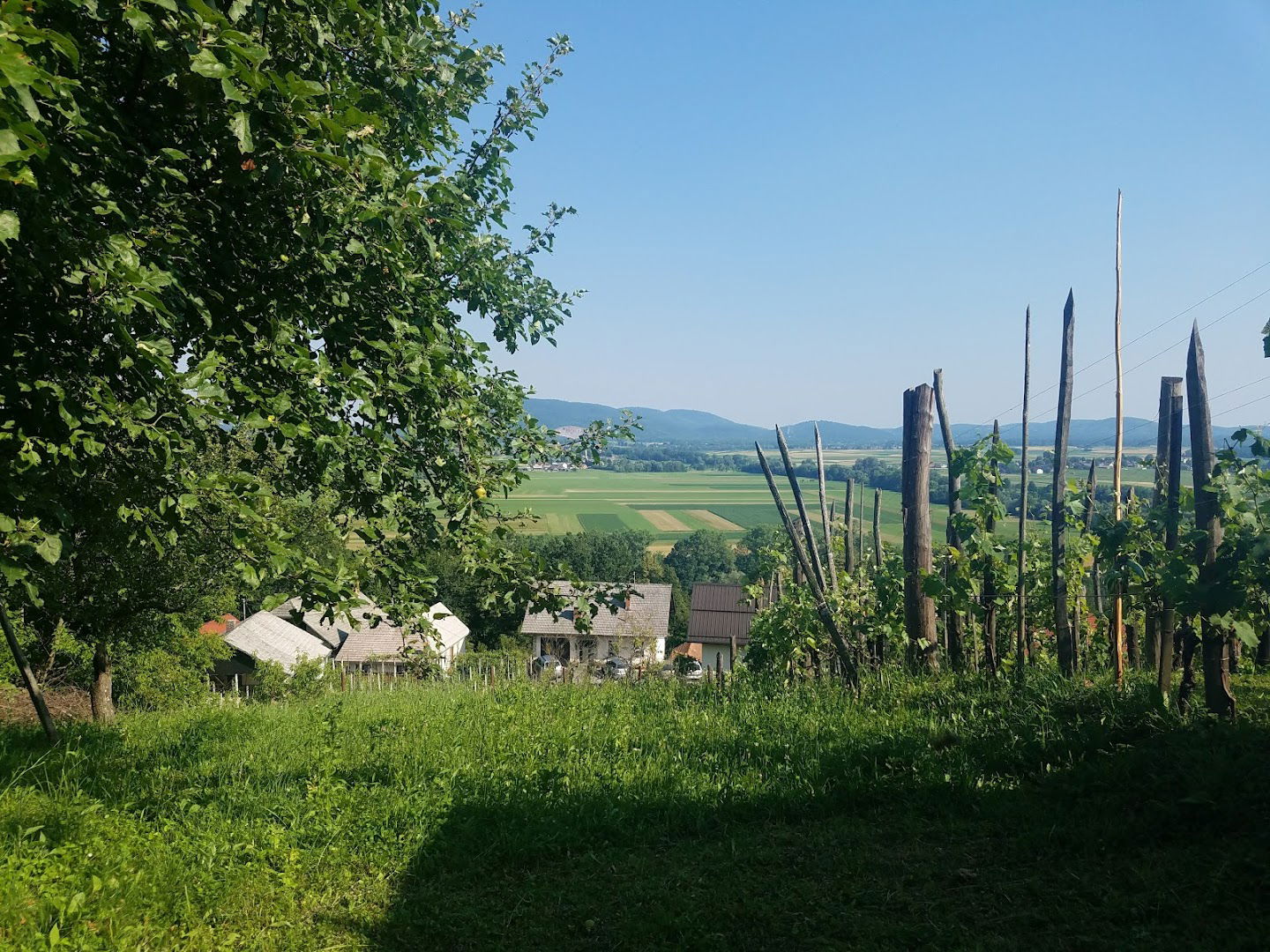 Lovska družina Gradac