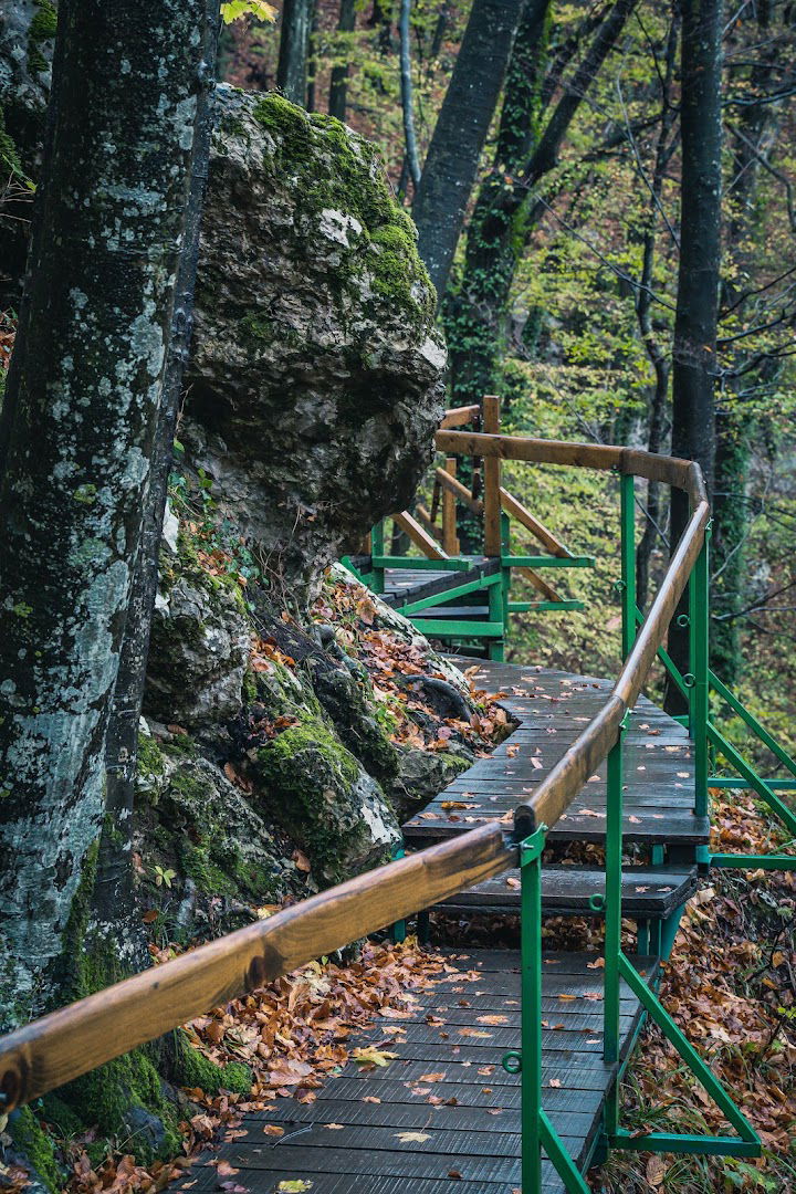 Spilje hajduka Maksima