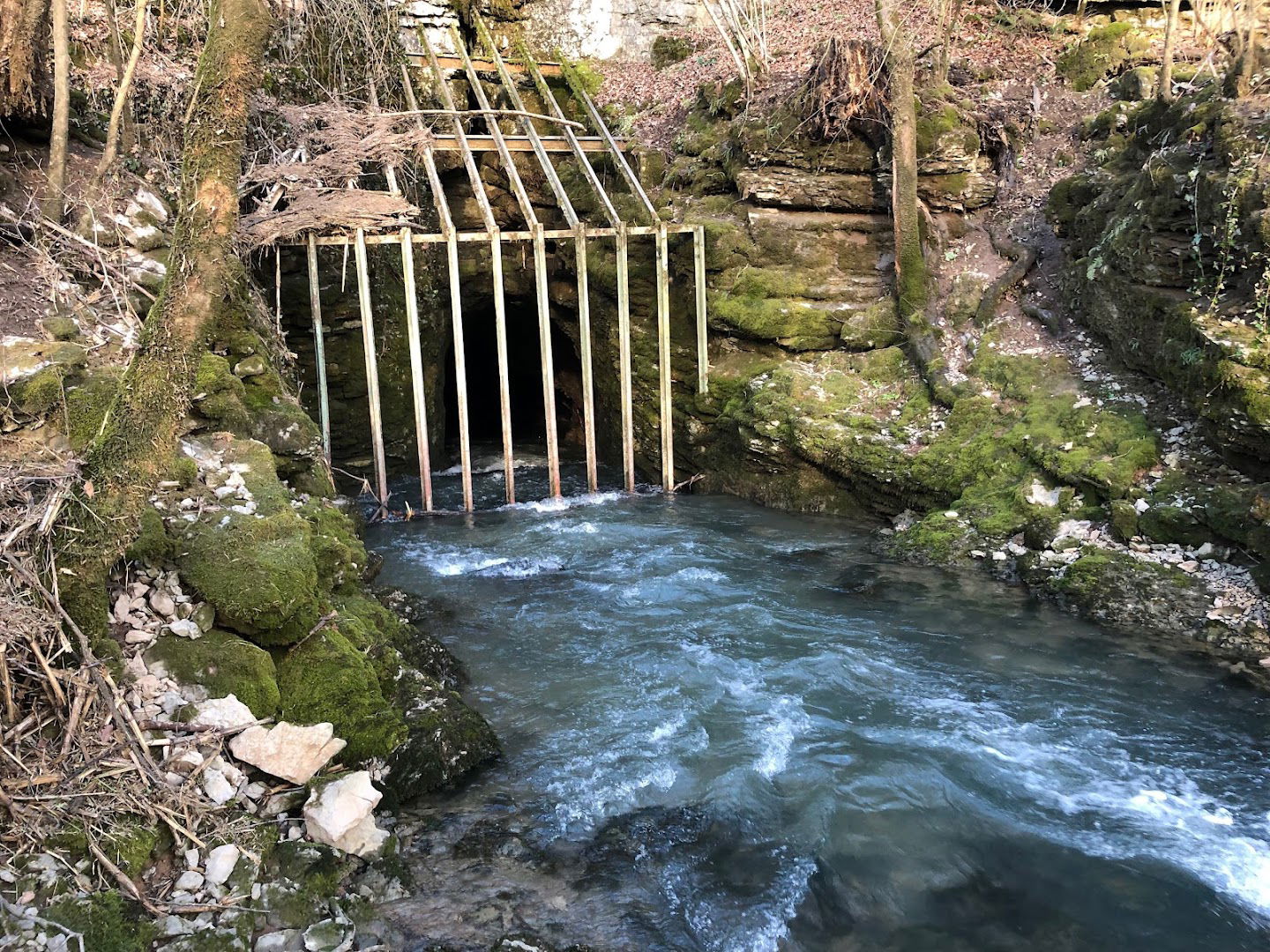 Sistem Zatočnih jam in sistem ponornih jam potoka Šice