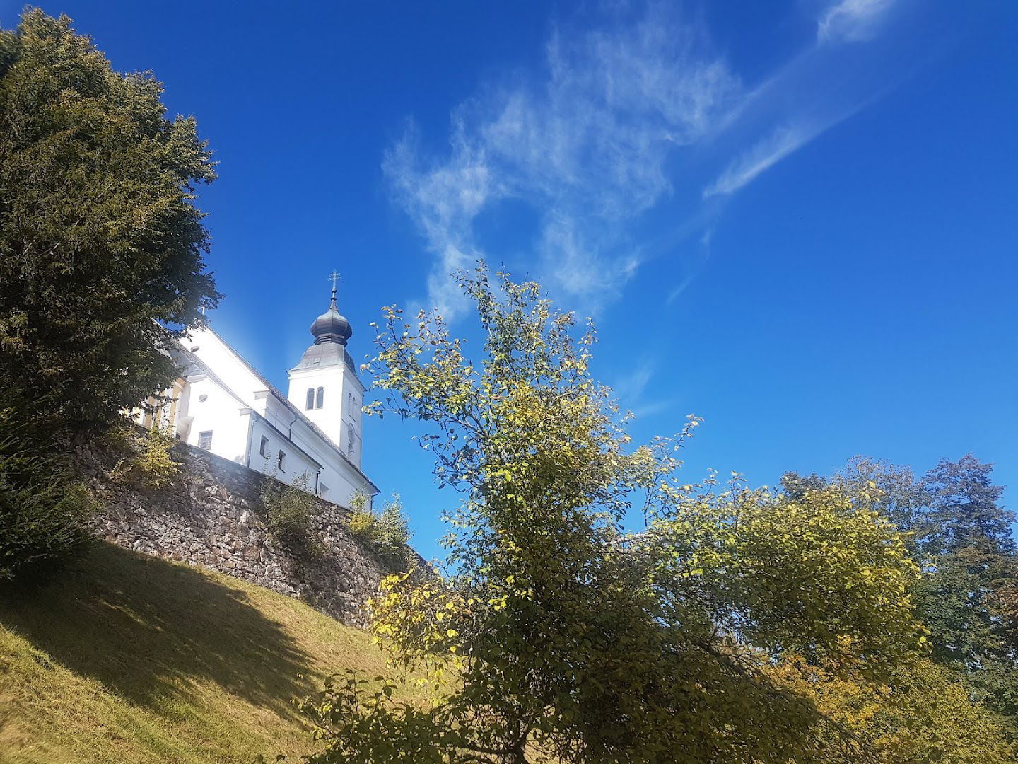 Osnovna šola Selnica ob Dravi P.O.