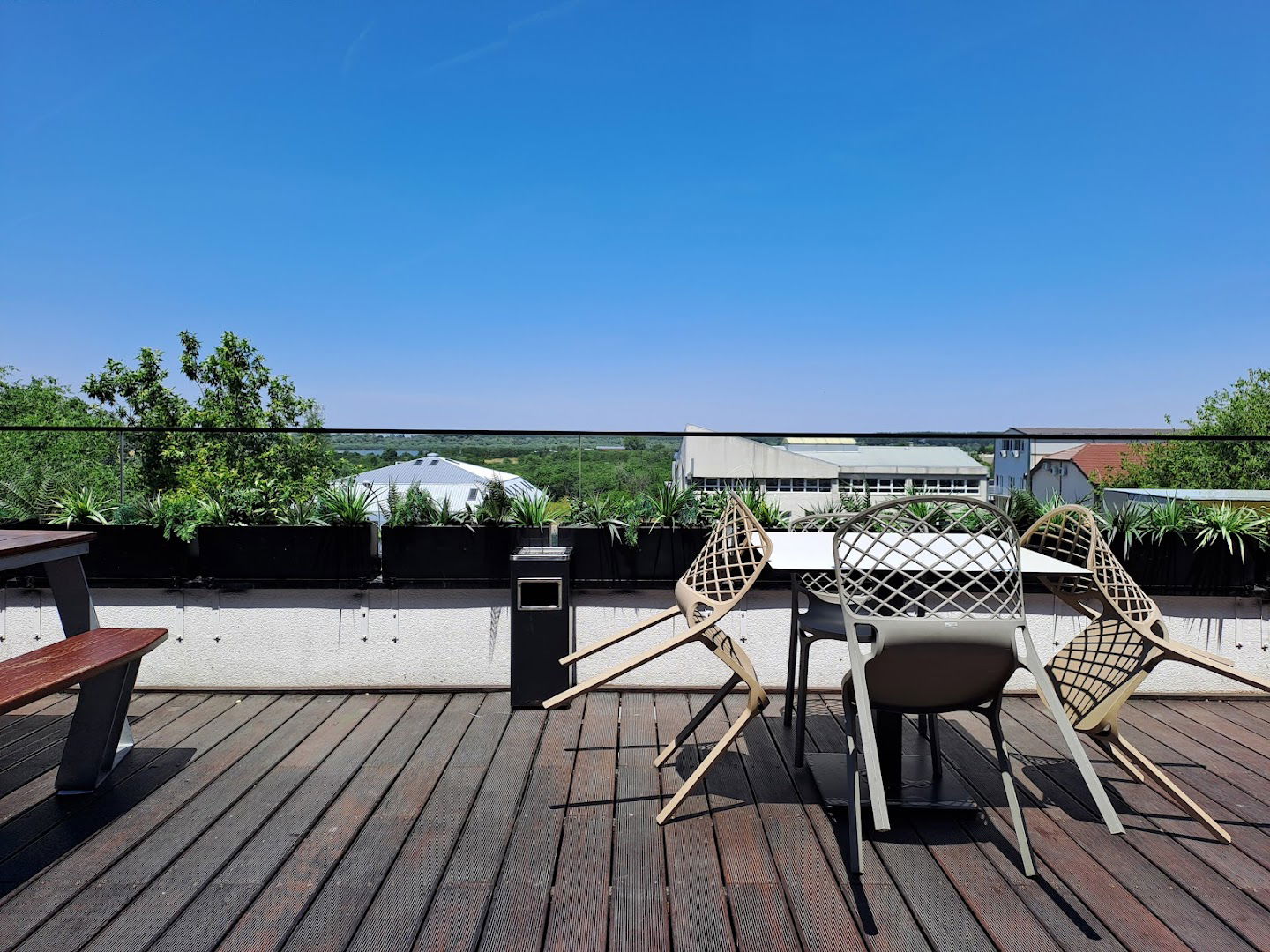 McDonald's Big Fashion