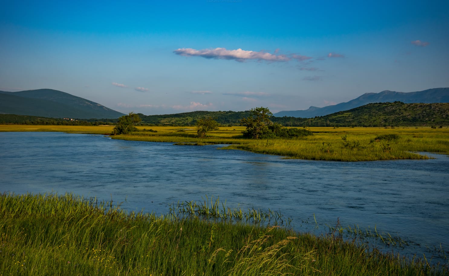 Cetina River Shore