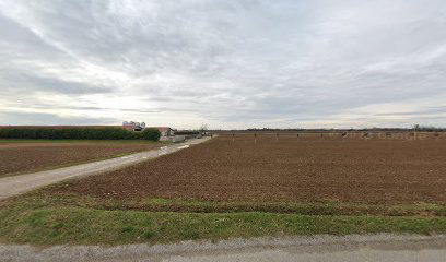 MORETTI PAOLO AZIENDA AGRICOLA