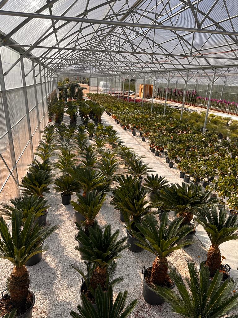 Vrtni Centar Geront - Zadar