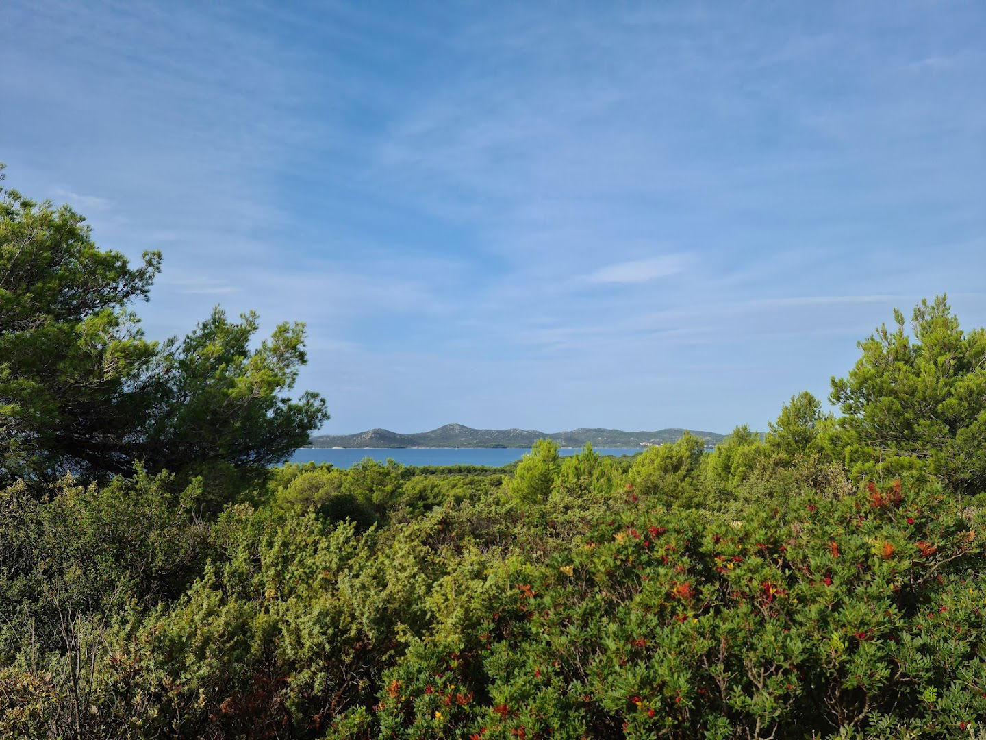 PRIMARY SCHOOL PAKOŠTANE