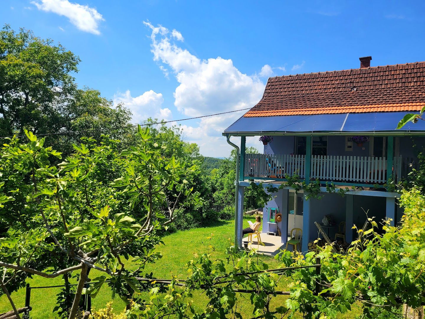 Heartland Holistic Health Hub