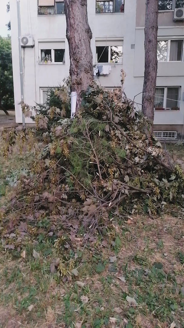 Аутономна Покрајина Чизмашија