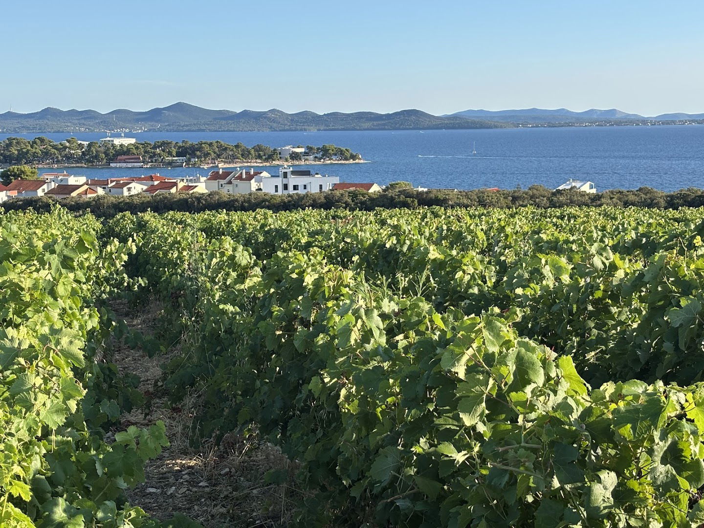 Aussichtspunkt auf Petrčane