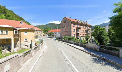 Trzic Bistrica Bridge