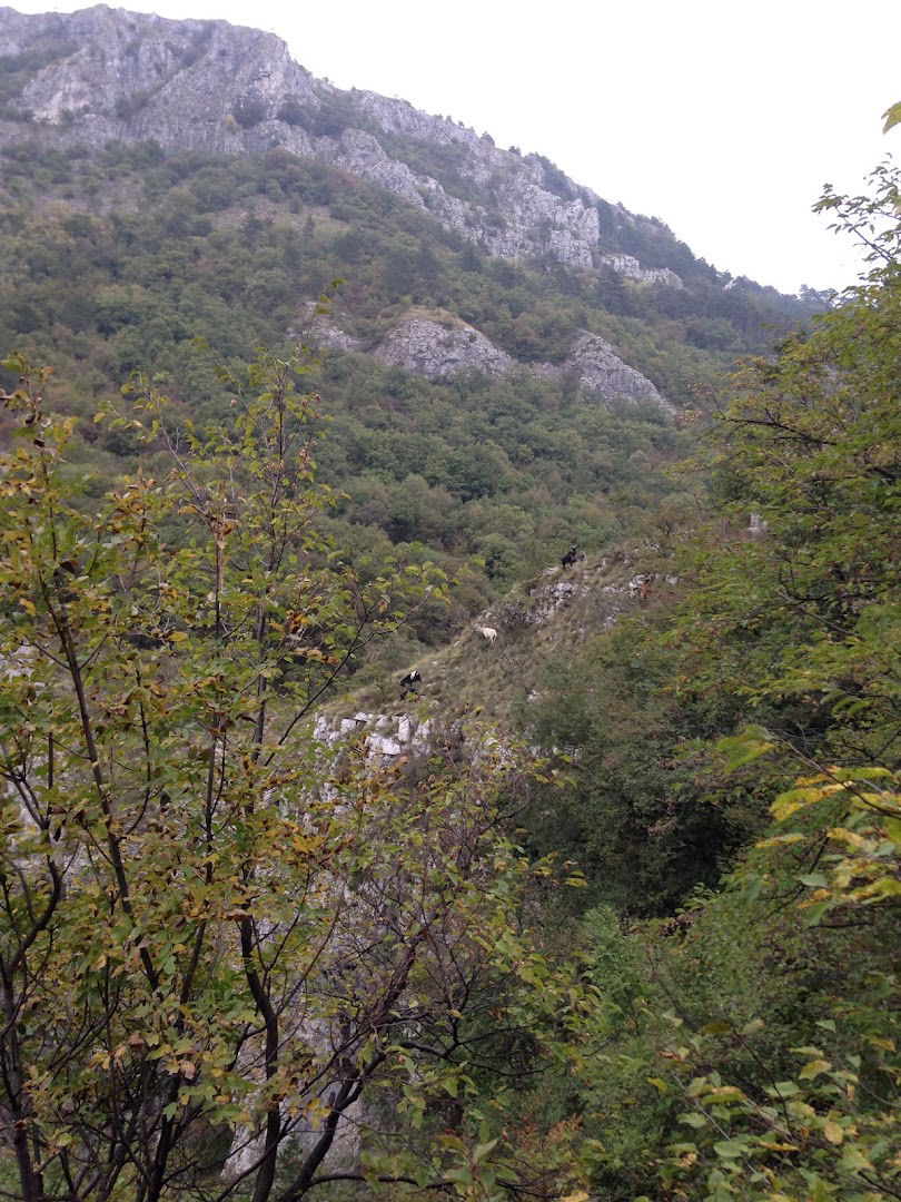 Beka - soteska Glinščice z dolino Griža, ponornimi jamami in arheološkimi lokalitetami Lorencom in grad nad Botačem