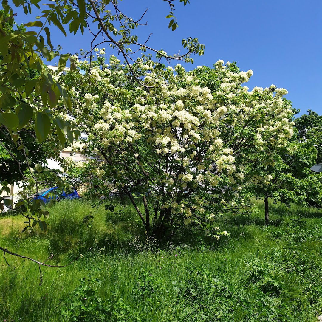 Park Trojka Indire Gandija