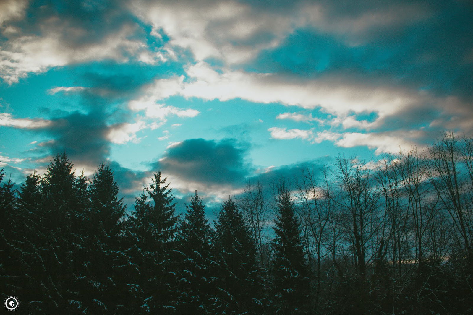 Seventh-day Adventist Church