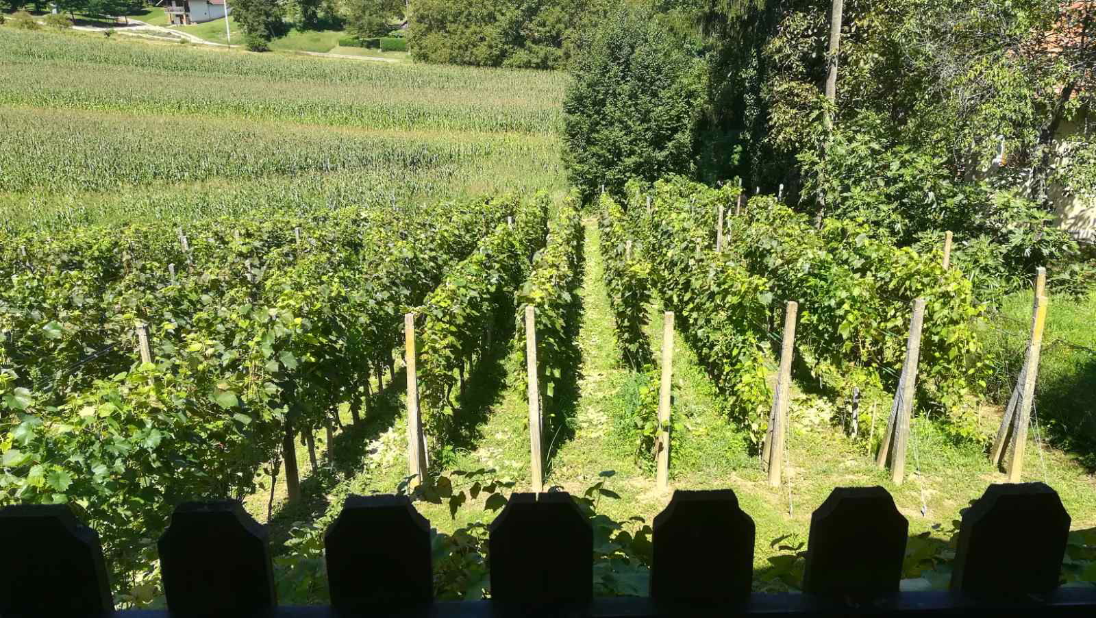 Vinski podrum Hotele - HABEK