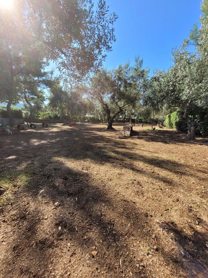 Hundeplatz/ Dogplace