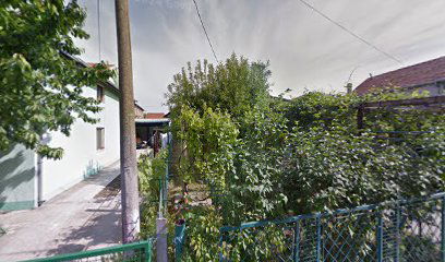 Lawyer Sladjana Radić