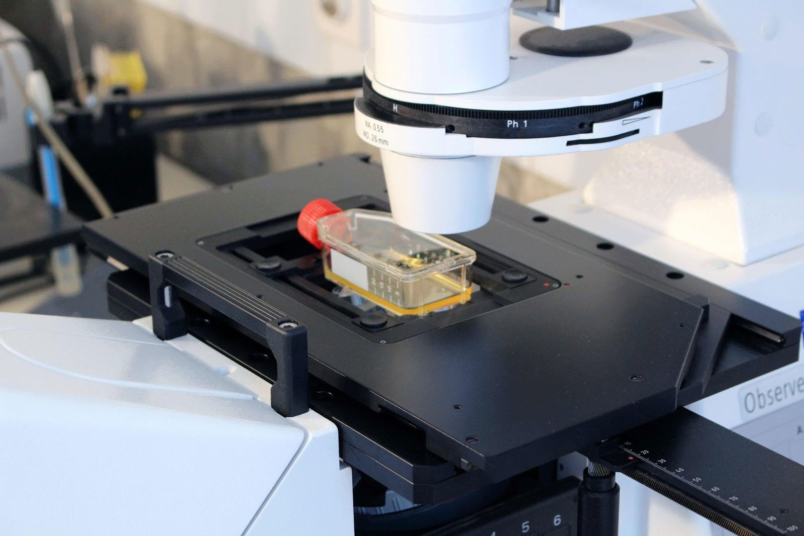 Naučni institut za veterinarstvo Srbija