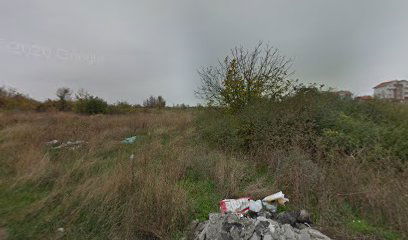 Vojvode Vlahovića (terminus)