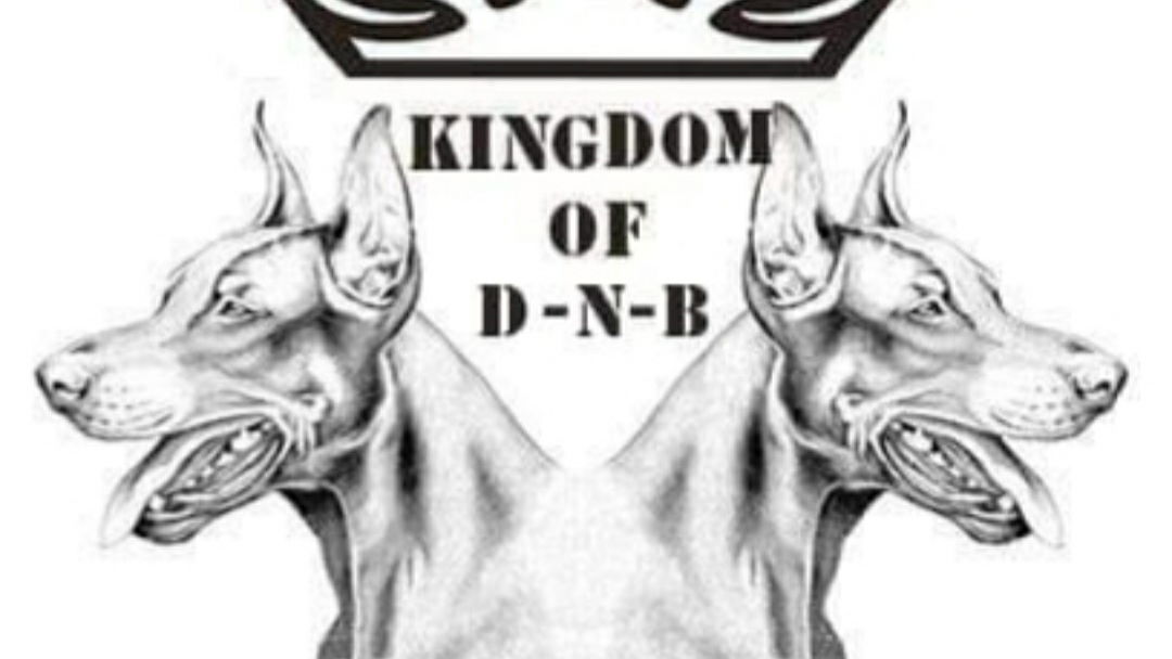 Kingdom of D-N-B Doberman