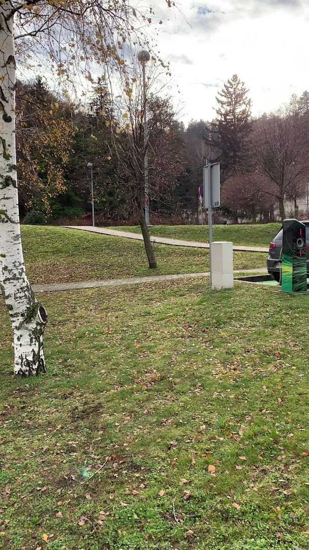 Electric Vehicle Charging Station