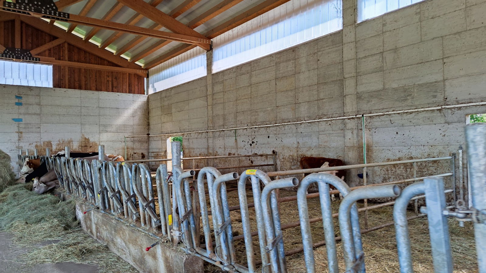 Azienda Agricola Vidali Di Vidali Lenard